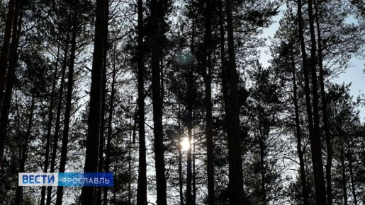 ������ ����, ���������!. ����� ��� ���� �������� ��� ������ � ������ �����