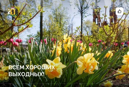 Выходные сменяют будни, как солнце заменяет снег