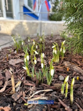 Пятница, Ярославль!. Трудовая неделя позади