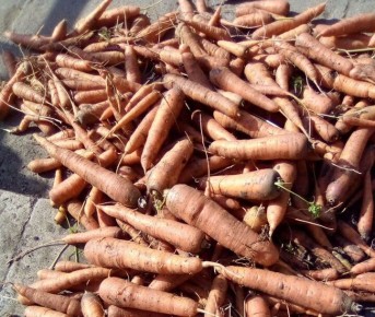 ������� �������� ������� �� ��������� ���������: ��� ��������� ����������� ���������� � ����