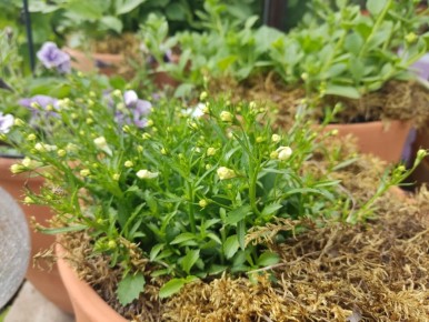 ��� ������������ ������� �������� ���� � ��������� � ������ ������