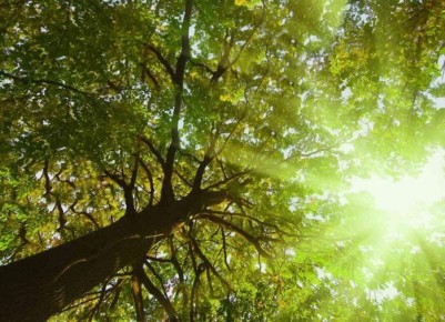 ��������� ������� ������: ������ �� ��������� ����������� �� �������� ��������