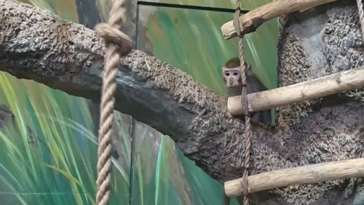 ������ ����, ���������!. ���� ��� ������� �� ������� ������� � ������ ������ � ������� ��� - ��� ��� �������� ���������� ������������ ��������, � ��� ���������