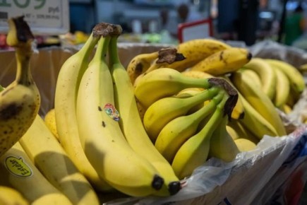 ������� ����� ������: �������� �������� ��������� ����������