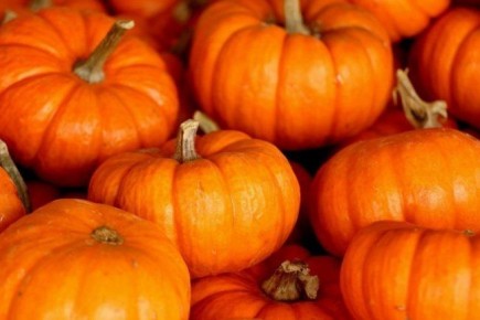 Как сделать тыквенный сок на зиму: простой и вкусный рецепт без соковыжималки