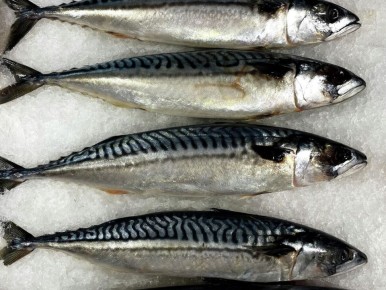 ��� �������� �������� ������: ����������� ����� � ������ ����