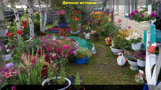 ������ �� ������� ���������: ��� ����� ����� � ��������� ������