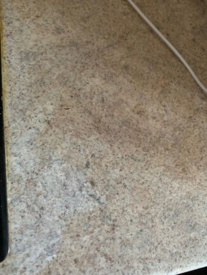 �������� ���������� �� �������