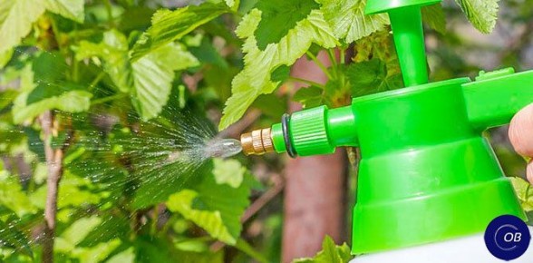 ���� �� ���������� ������: ������� ��������� ������ � ��������� ������