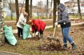 В Ярославской области объявили первый в году региональный субботник