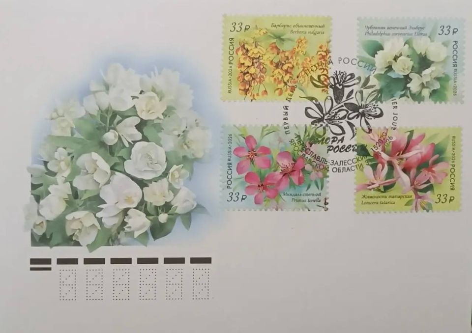 � ����������-��������� ���������� ��������� ������� �������� ����� � ������������ �������� �����������