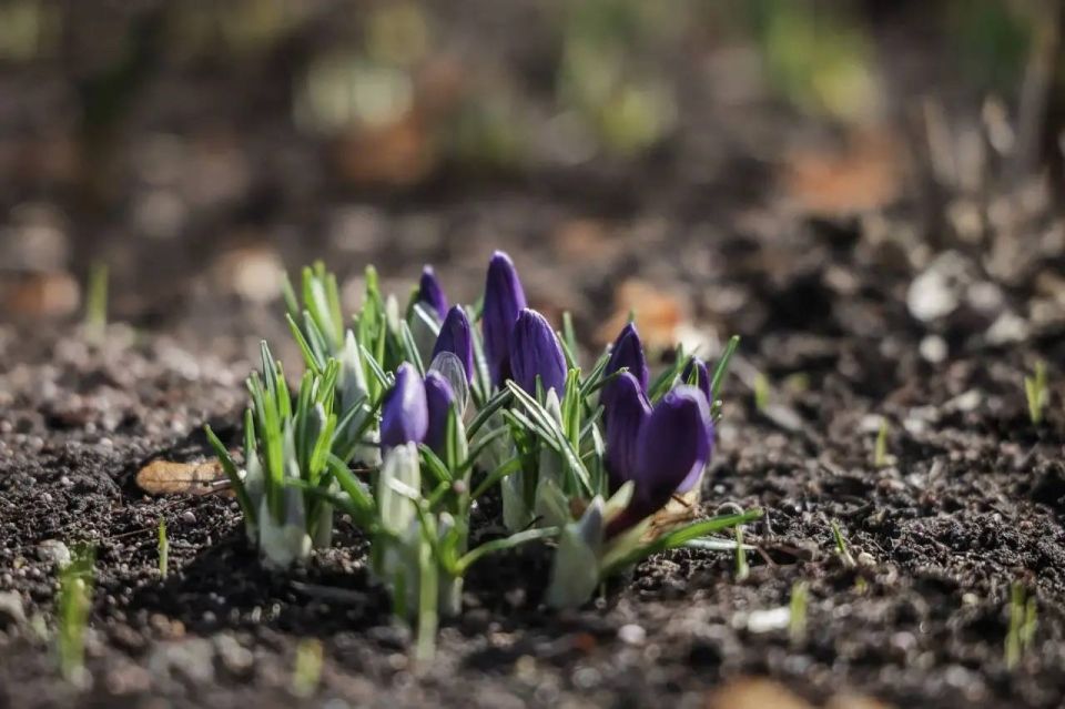 ������� �������: ����� � ���� ���� ������, � ����������� ��� ������ �����������