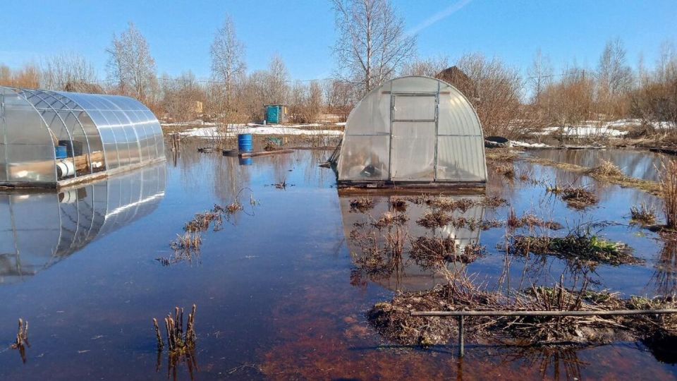 �������-���������: ��� ������� ��������� �������� ��� ����������������� ����