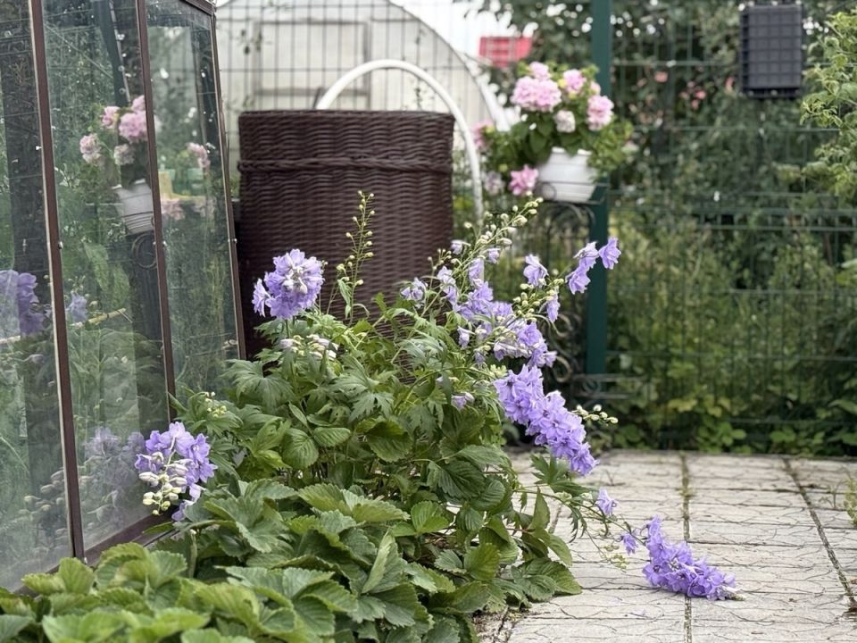 ��� ��������� ���������� �� �����: ��� �������� ����������� �� ���� � ������