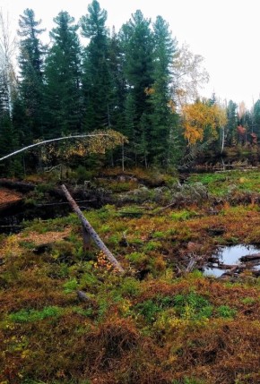 ��� �������������� ����������� ���� �����: ��������� ������ �� ����� �������������