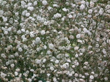 ����� � ������: ���-7 �������� ��� ������ ���� � ������