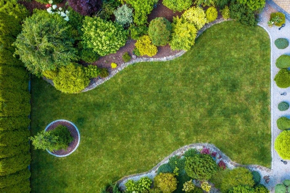 ��� ���������� ������������ ����������� � ������� �������: ���� �� ����������