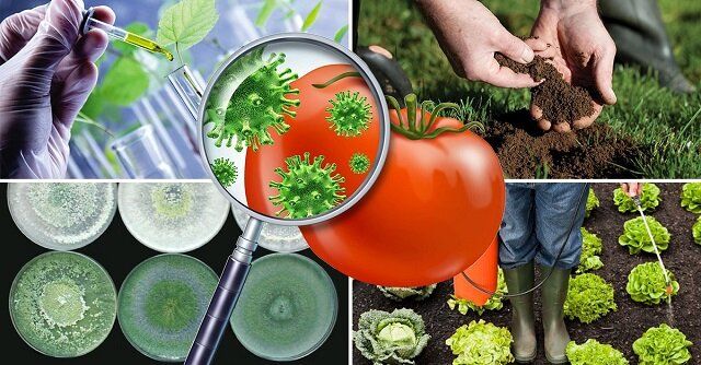 ��� �������� ���� �������� � �������� �������� ������