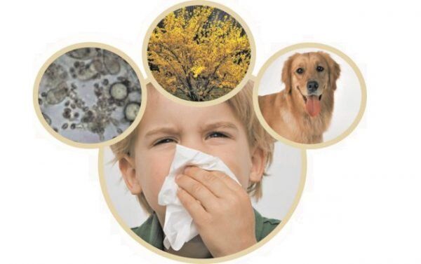 ������� �������� � �����: ��� �� ���������� � ��� � ���� ������