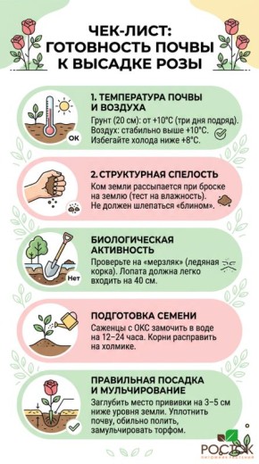 ����� ����� ���������� ����: ������� ������ �������� �����