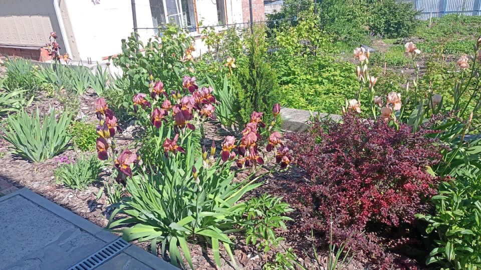 ����� � �����������: ������� ������� ������� ����������� �������������