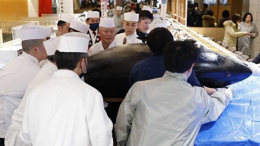 ��������� ������� ������ ��������� �������� ����� �� 255 ��������� ������