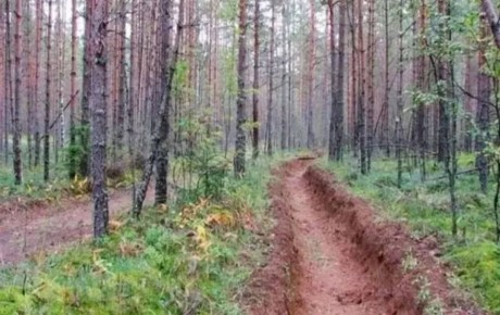 С 15 апреля в Ярославской области начинается пожароопасный сезон