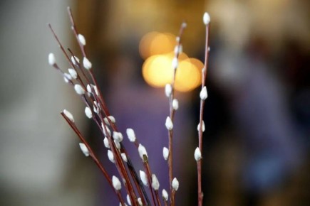 Дмитрий Рудаков: С Вербным воскресеньем, друзья! Благополучия, согласия, любви! Мира вашему дому и светлой весны