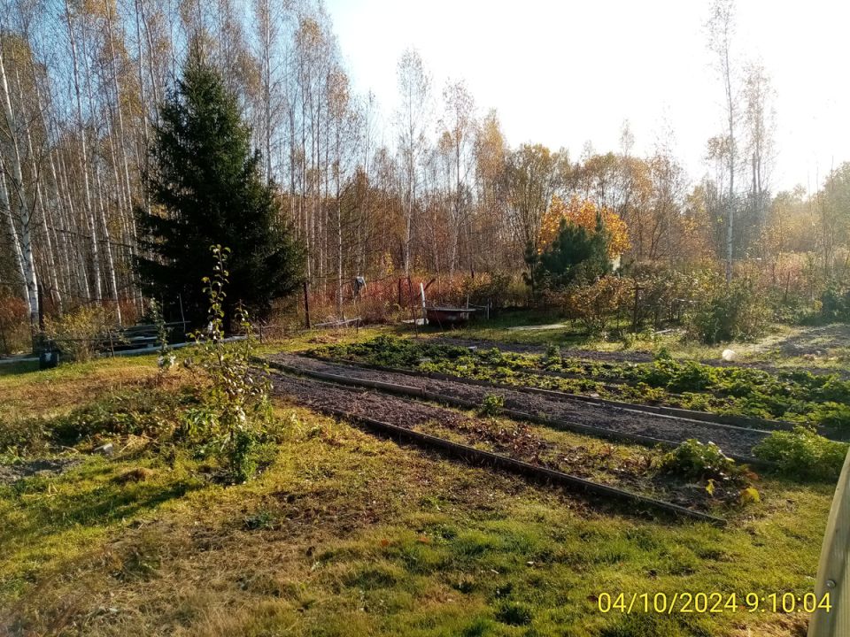 �������� ������� �� ������: ��� ����������� ����