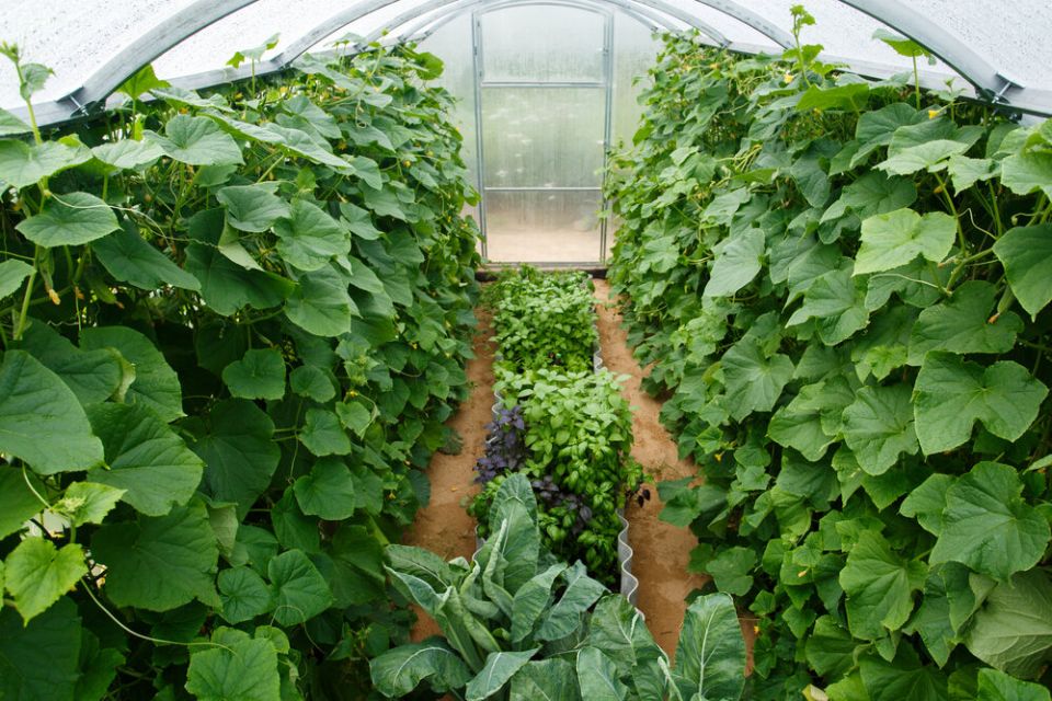 ����������� ������� ������ ������� �� ��������� ���� � �������