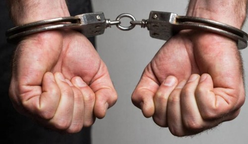 В Ярославле задержали педофила