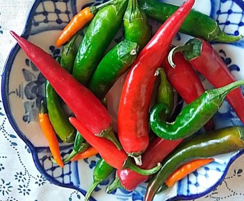 ������ ������� �����: �� ���� � �����