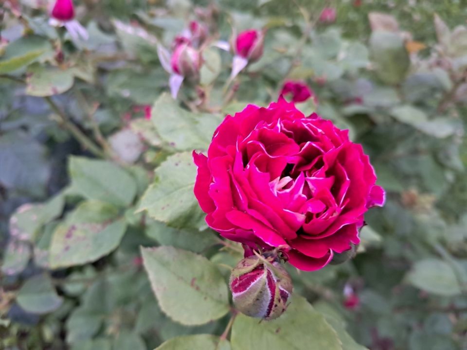 ��� ��������� ����������� ���� � ������� ������