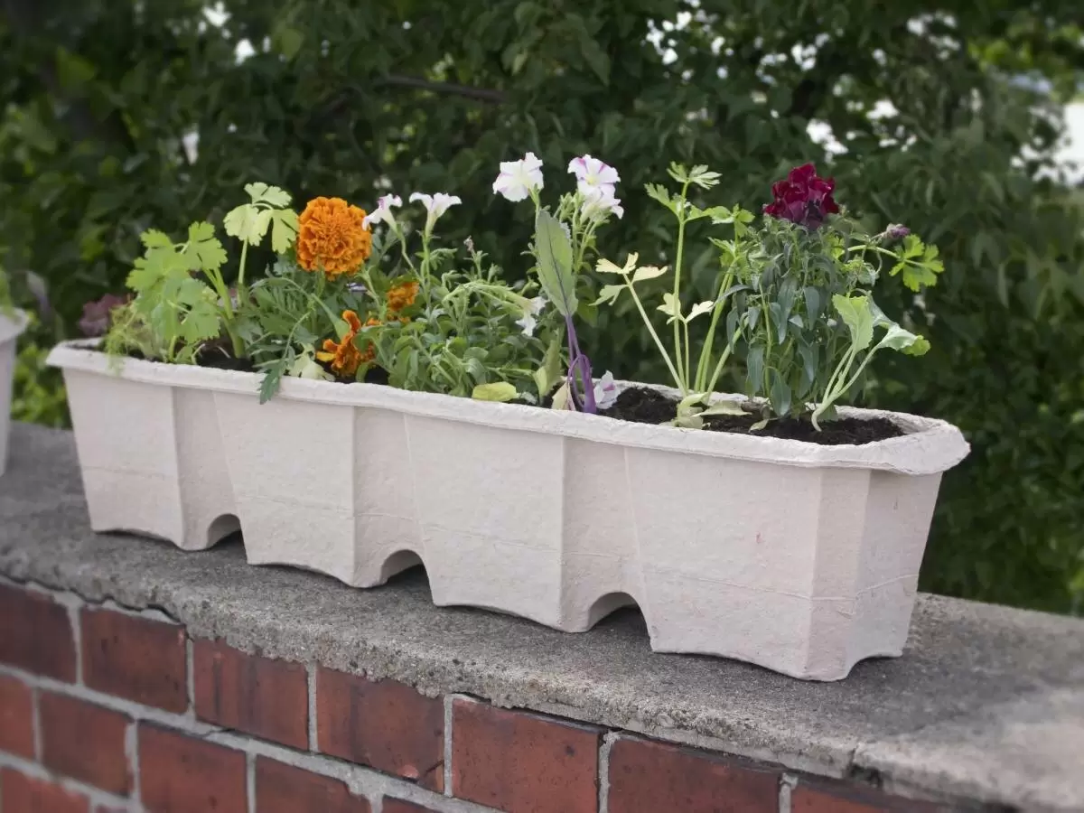 Тайны идеального летнего сада