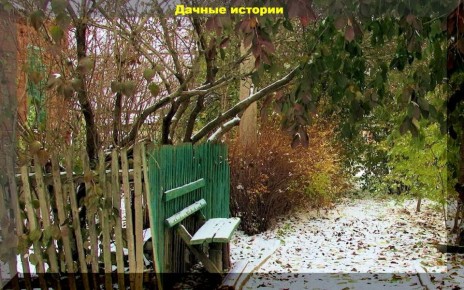 ��������������� ������ ��� ��������� ������� ������: ������ �� ���� �������