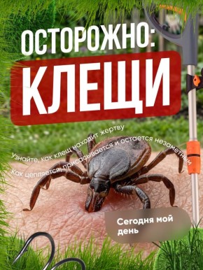 ��� ����� ������� ����� � ������