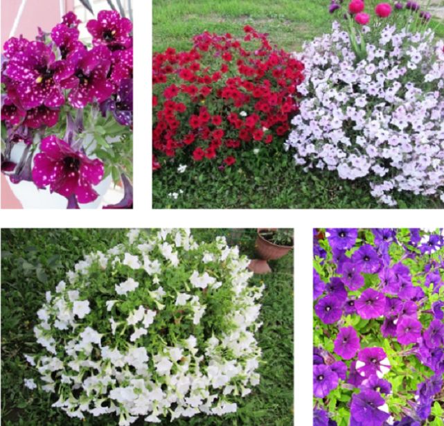 �������� �������: ������� ������ ����� � ����� ������ ��� ������������� ��������