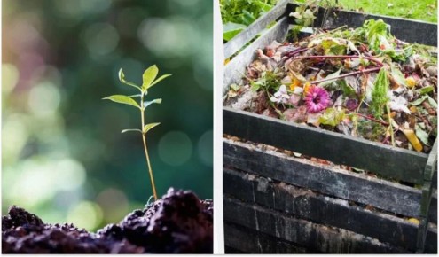 Тайные герои компоста: что именно можно отправлять в черную яму