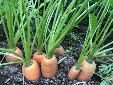 ��� ������� ���������� ������ ������ �������� ������ ������� � ��� ����