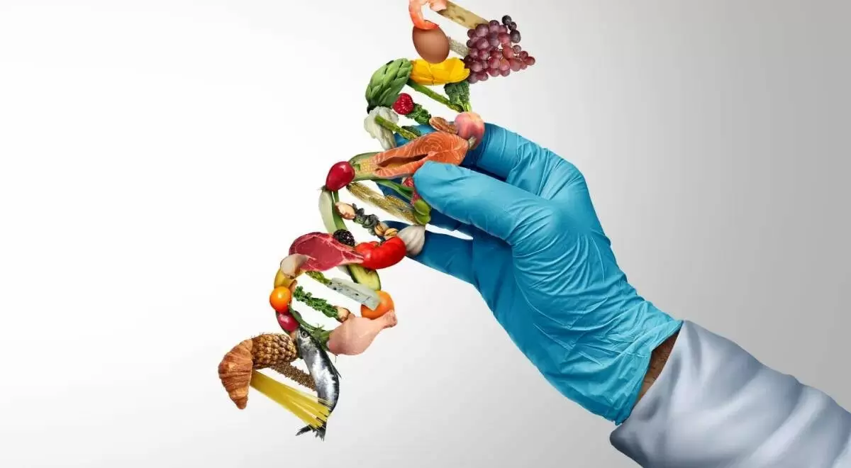 Как ГМО меняют наше представление о еде: правда и мифы