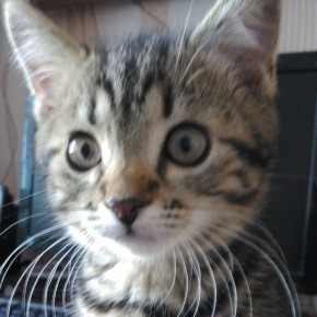 ������: ������ ��������� �������