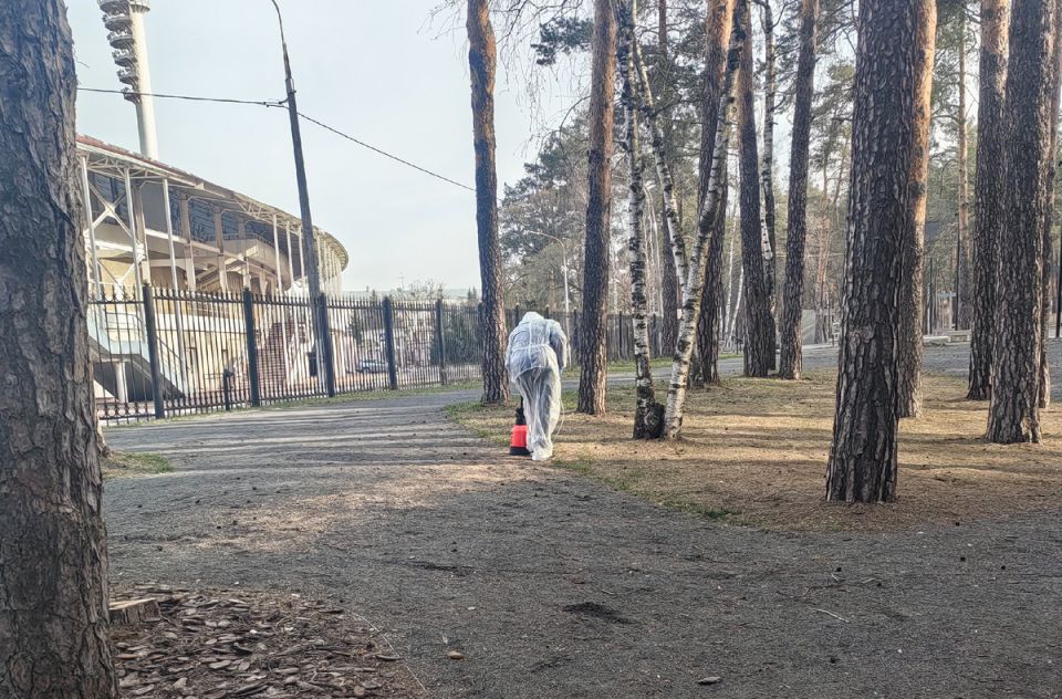 ������ ���� ���� �������� �� ��������, � ������ � � �� �����: 7 ������ � ������������� ����������