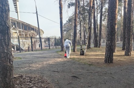 ������ ���� ���� �������� �� ��������, � ������ � � �� �����: 7 ������ � ������������� ����������