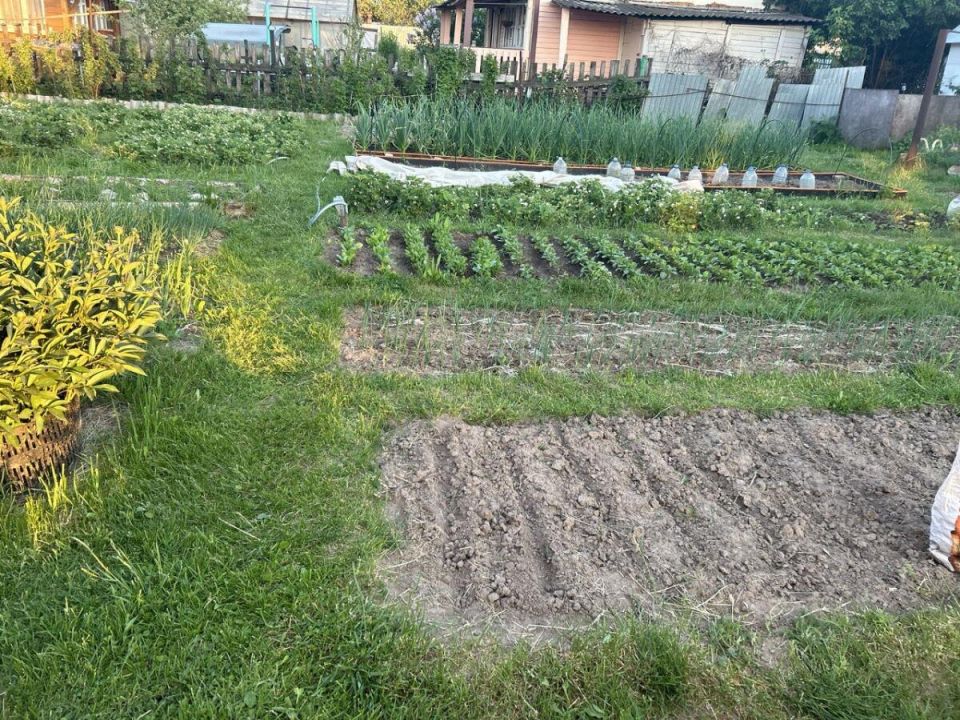 ��� �������� ������������ ��������: ������� ���������� �������