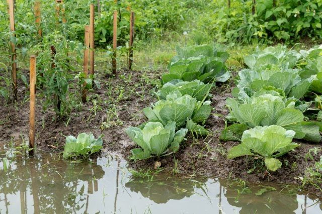 ��� ��������� ���� �������� ������� � ��� � ���� ������