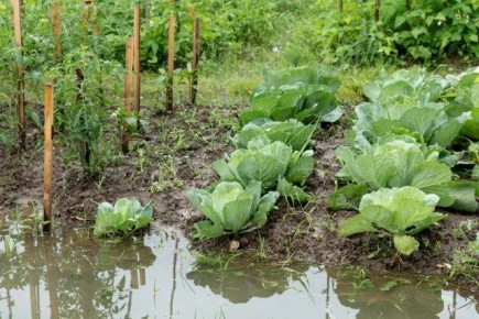 ��� ��������� ���� �������� ������� � ��� � ���� ������