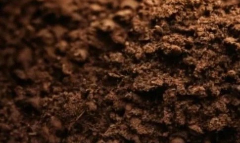 �������� ����������� ��������� �� ���������� �������� � �����