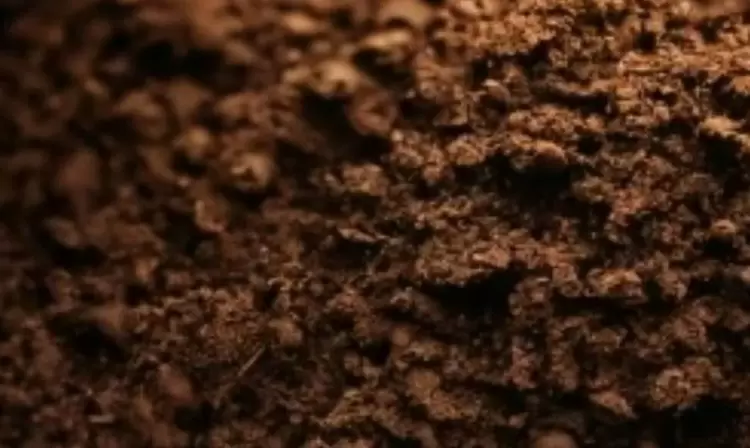 Изучение воздействия удобрений на содержание нитратов в почве