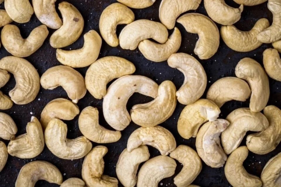 ������ �����: ������� ������ ����� ���� � ����?