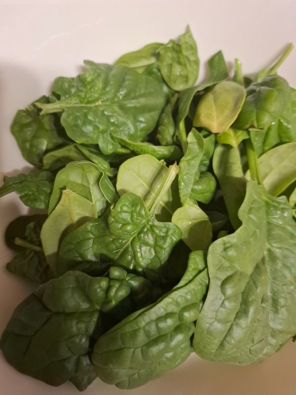 ������ � �������� � �����: ��� ������� ���������� ������